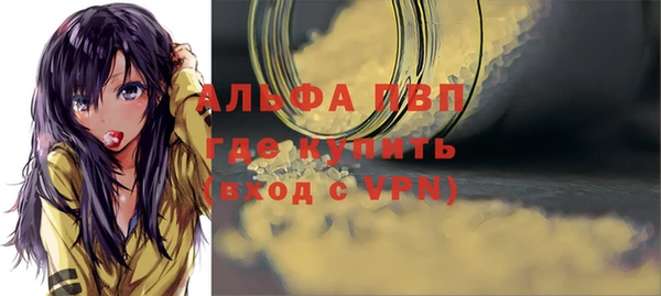 ешки Богданович