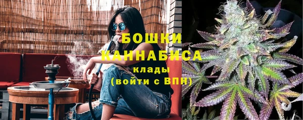 стафф Богородск