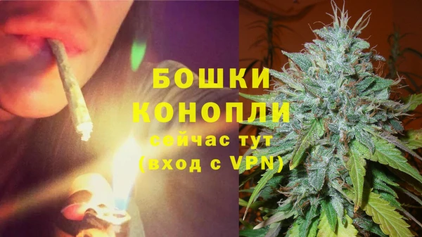стафф Богородск
